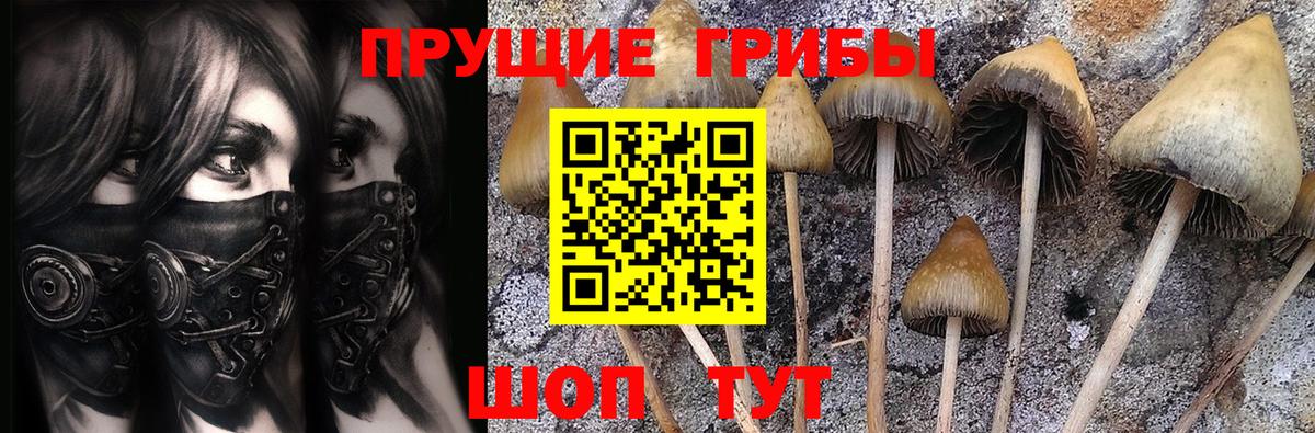 Галлюциногенные грибы ЛСД Коломна